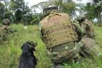 Operativos del Ejercito Nacional