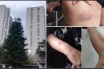 Arma traumática Medellín 