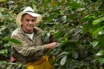 Productores de café en Medellín
