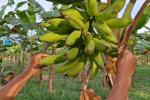 Inversión en el Urabá antioqueño 