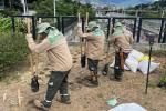 Intervención zonas verdes en Medellín