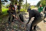Mujer entregó voluntariamente una boa constrictor a Policía Ambiental en Apartadó 