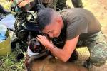 Animales afectados por explosivos en Antioquia 