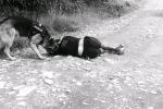 Homicidio en San Pedro de los Milagros 