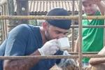 Veterinario asesinado en Antioquia 