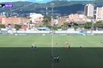 Partido entre Envigado y Millonarios se vio interrumpido por un panal de abejas 