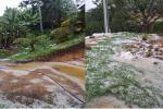 Cultivos afectados deja fuerte granizada en el municipio de Guarne, oriente antioqueño