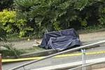 Asesinato en El Poblado reitera presencia de mafias extranjeras en Medellín, según Corpades