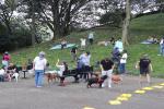 Los 33 perros más longevos del Centro de Bienestar Animal hicieron parte de una “Un paseo lleno de amor"