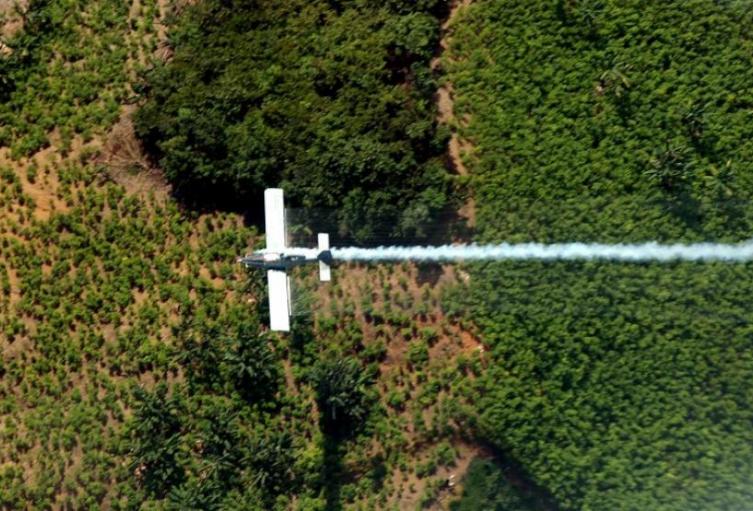 Fumigación con glifosato