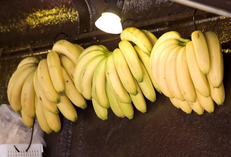 Bananos