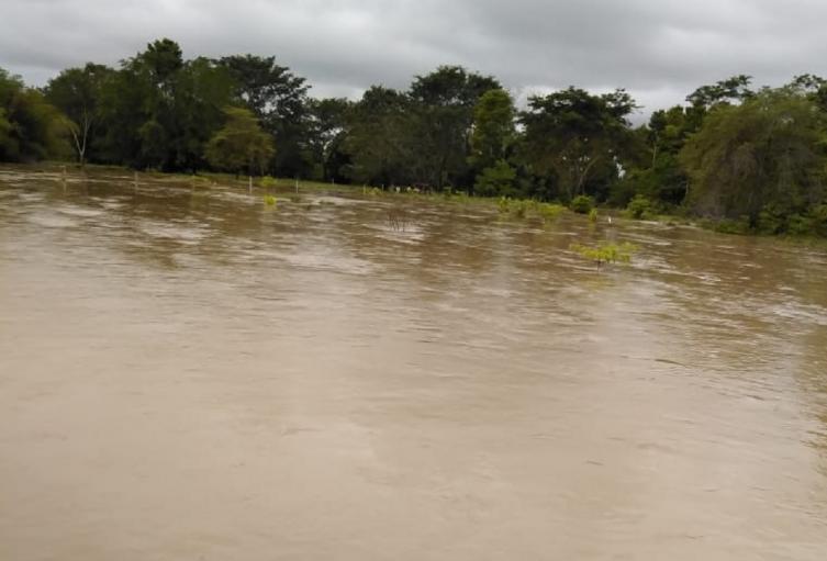 En Papayal aún no se han establecido las pérdidas por esta emergencia.