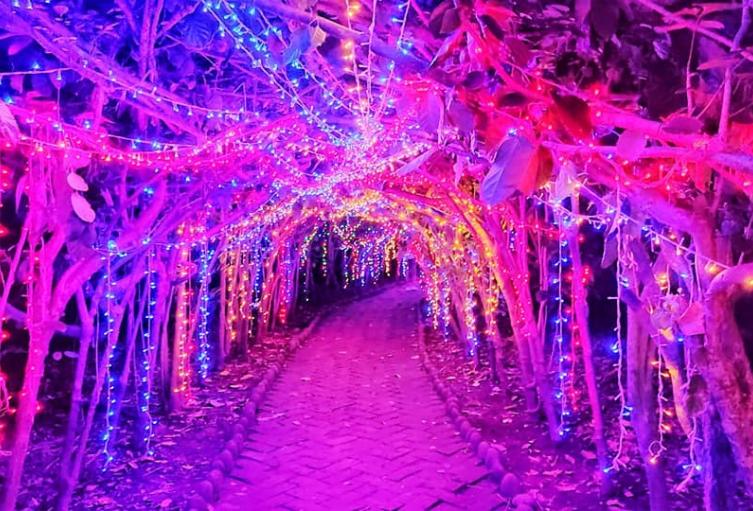 Alumbrado navideño Parque el Gllineral
