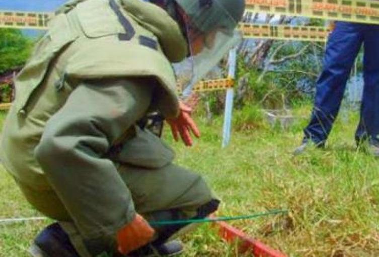 Campos Minados en zona rural de Tibú