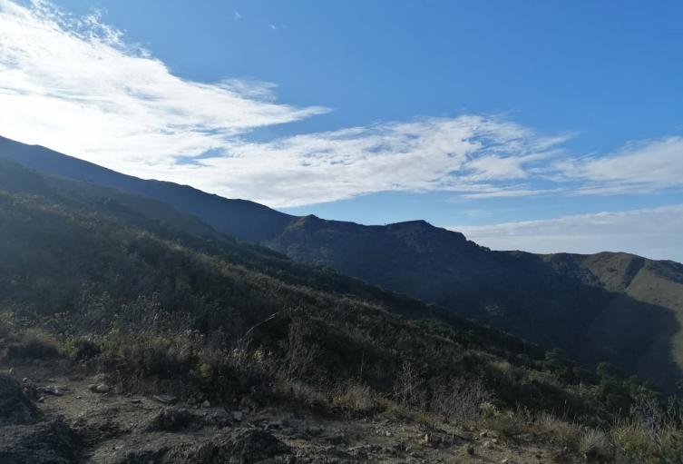En la zona se adelantó una inspección técnica para determinar las acciones a desarrollar.