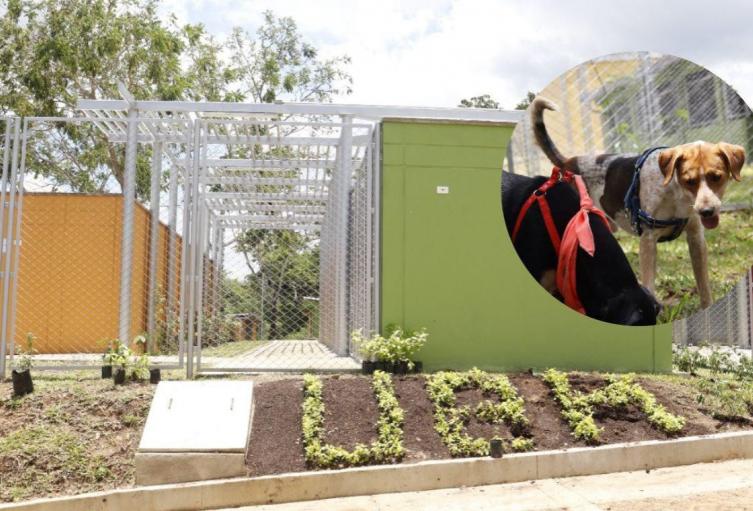 La Unidad de Bienestar Animal de Bucaramanga asegura recursos y atención para el 2025 