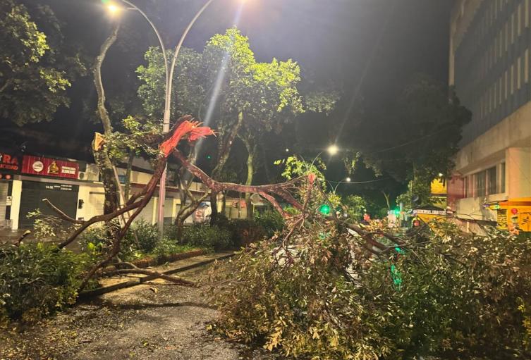 La misma comunidad apoyó el retiro de los árboles que cayeron en medio de la emergencia.