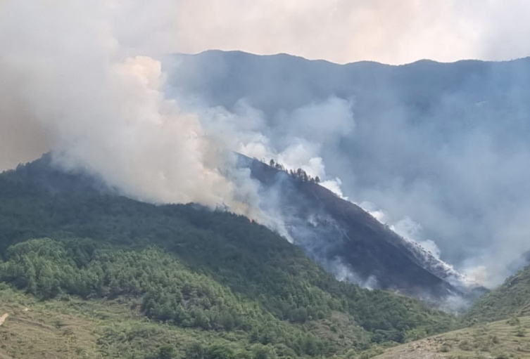 Grave incendio se registró en zona rural de Zapatoca. 