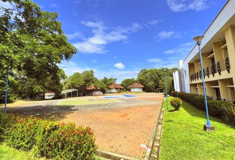 Instituto Universitario de la Paz