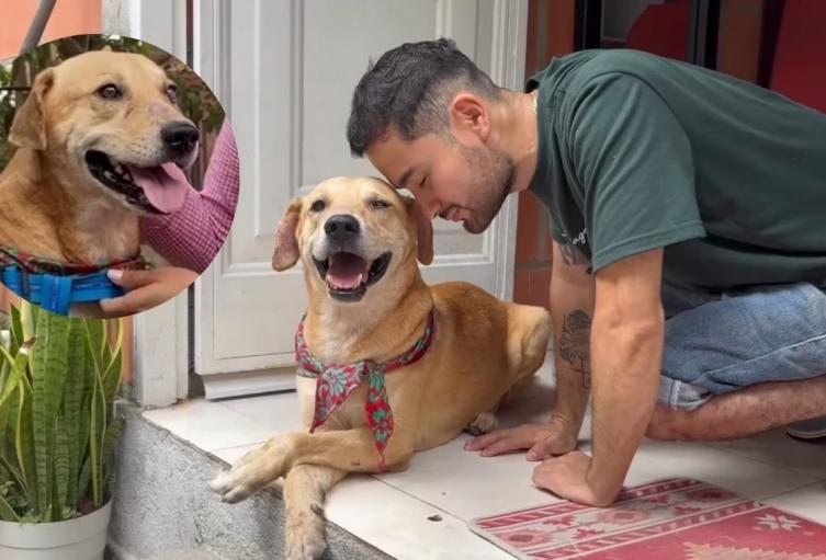 Pachito, el perrito que fue enterrado vivo y ahora tiene nuevo hogar