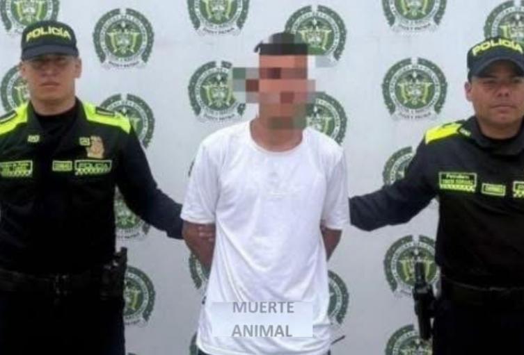 Captura de delincuente que atacó animales en Ocaña Captura de delincuente que atacó animales en Ocaña