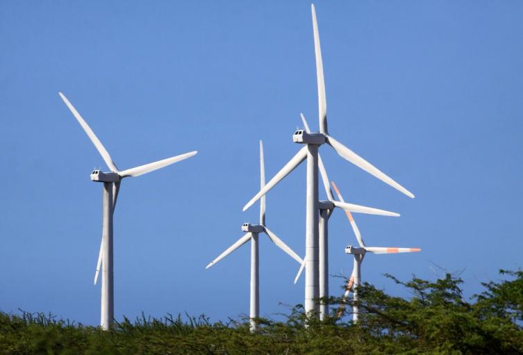 Parques eólicos, licencias ambientales, viento, energía