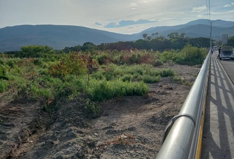Zona boscosa en la frontera colombo-venezolana