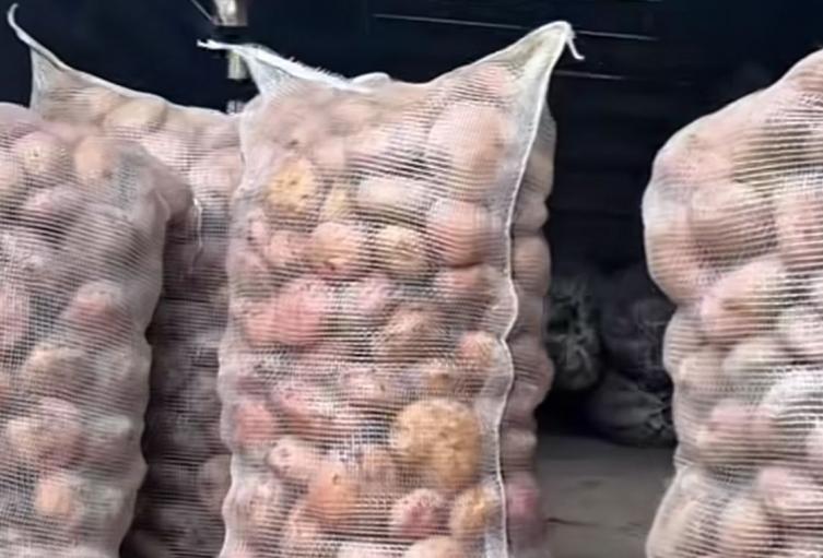 Papatón, Bucaramanga