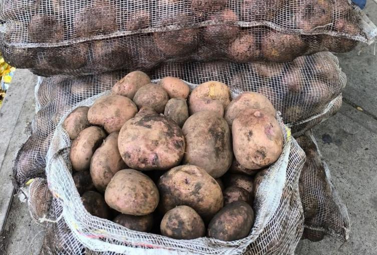 La caída de los precios de la papa no solo afecta los ingresos de los agricultores, sino que pone en riesgo la sostenibilidad de los cultivos.