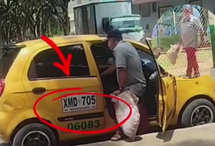 Taxista abandonó un gato en Bucaramanga