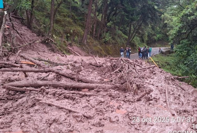 Vía Curos-Málaga | Santander | 2025