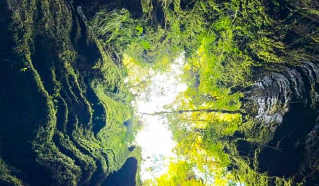 Secretaría de Cultura y Turismo de Santander / Contenido Patrocinado