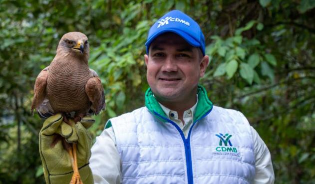 CDMB / Contenido Patrocinado