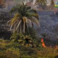 alerta Roja 