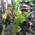 Enfrentamientos entre ELN y Disidencias de las Farc en zona del Catatumbo