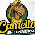 Camello sin experiencia - Proyecto presentado al Concejo de Bucaramanga