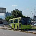 La Troncal Central será utilizada por los buses padrones.