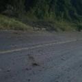 Zona afectada por explosivos en Chinácota 