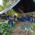 Laboratorio de coca en zona rural de El Zulia