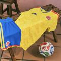 Camiseta selección colombia 