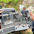 Rescate de aves silvestres en Bucaramanga