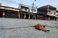 Venadillo riñas