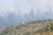 Incendio en el Páramo de Berlín, Santander
