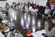 Comité Articulador de Violencia Basada en Género