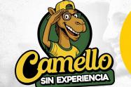 Camello sin experiencia - Proyecto presentado al Concejo de Bucaramanga