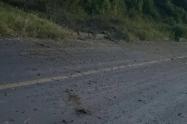 Zona afectada por explosivos en Chinácota 