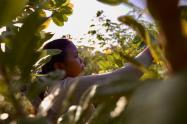 Mujeres rurales en Colombia
