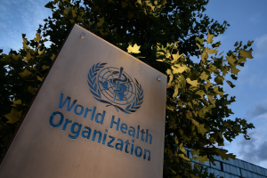 Organización Mundial de la Salud (OMS)