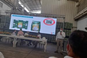 Coagronorte Empresa Arrocera