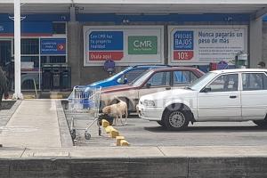 Paquete extraño en Homcenter